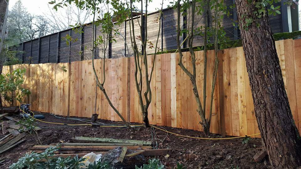 Carpentry Project 1